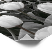 Zwart-wit Bloemveld Poster (Hoek)