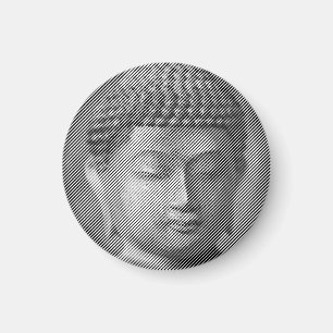 Zwart-wit boeddha-gezichtsveld, gevormd door lijne magneet