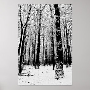 Zwart-wit Bomen in Winter Poster