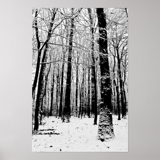 Zwart-wit Bomen in Winter Poster (Voorkant)