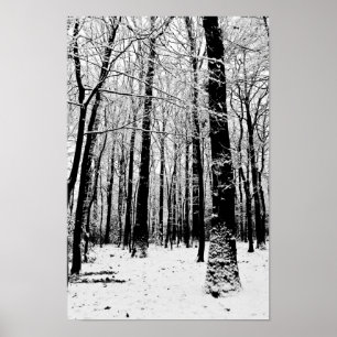 Zwart-wit Bomen in Winter Poster