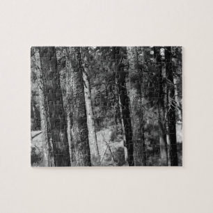 zwart-wit bomen rondom puzzel