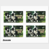 Zwart-wit Border Collie Puppy Dogs Stickers (Vel)