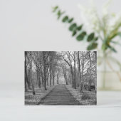 Zwart/wit bos briefkaart (Staand voorkant)