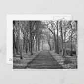 Zwart/wit bos briefkaart (Voorkant / Achterkant)