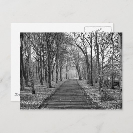 Zwart/wit bos briefkaart (Voorkant / Achterkant)