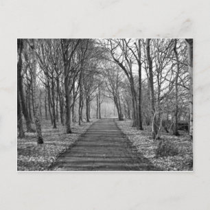 Zwart/wit bos briefkaart