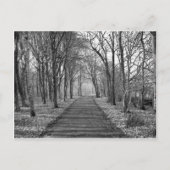 Zwart/wit bos briefkaart (Voorkant)