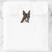 Zwart & Wit Boston Terrier Puppy Dog Sticker (Tas)
