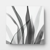 Zwart-wit botanisch ontwerp fotoplaat (Voorkant)