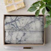 Zwart-wit Botanische Motif Artwork Tissuepapier (Geschenk)