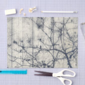 Zwart-wit Botanische Motif Artwork Tissuepapier (Craft)