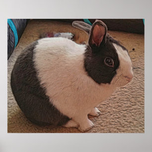 Zwart-wit Bunny Poster