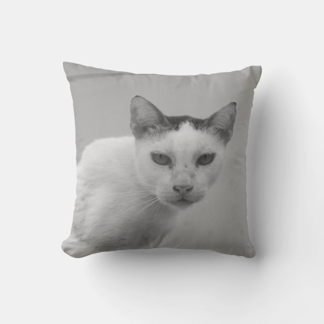 Zwart-wit - Cat 02 Kussen (Voorkant)