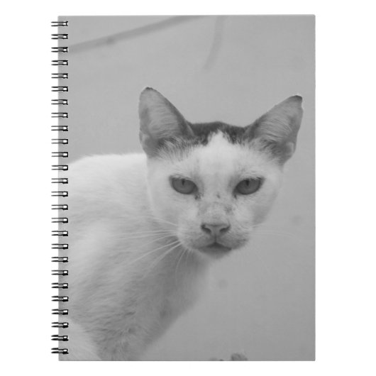 Zwart-wit - Cat 02 Notitieboek (Voorkant)
