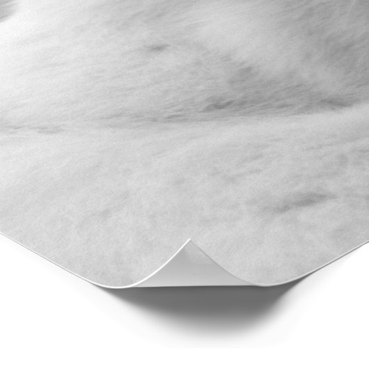 Zwart-wit - Cat 02 Poster (Hoek)