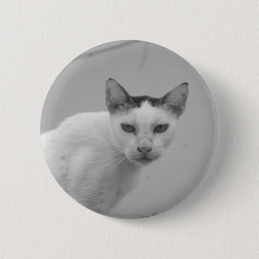 Zwart-wit - Cat 02 Ronde Button 5,7 Cm (Voorkant)