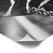 Zwart-wit Charmante Vlinder Foto Afdruk (Hoek)