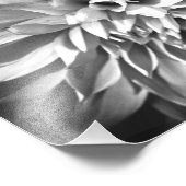 Zwart-wit chrysanthemum Afdrukken 8 x 10 Foto Afdruk (Hoek)