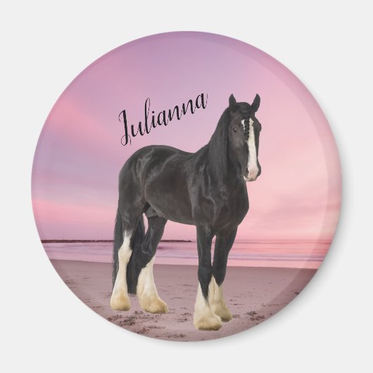 Zwart-wit Clydesdale op strand bij zonsondergang Magneet (Voorkant)