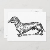 Zwart-wit Dachshund Wiener Dog Briefkaart (Voorkant / Achterkant)