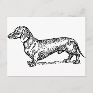 Zwart-wit Dachshund Wiener Dog Briefkaart