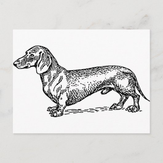 Zwart-wit Dachshund Wiener Dog Briefkaart (Voorkant)