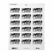 Zwart-wit Dahlia Return-adres Etiket (Full Sheet)