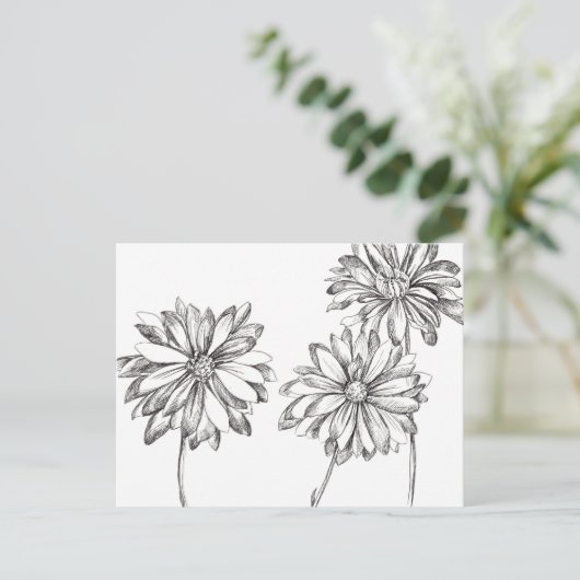 Zwart Wit Daisy Bloem Boeket Tekening Briefkaart (Staand voorkant)