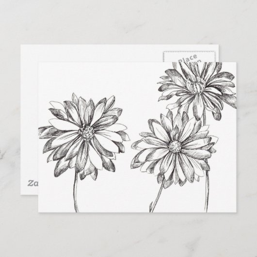 Zwart Wit Daisy Bloem Boeket Tekening Briefkaart (Voorkant / Achterkant)