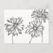Zwart Wit Daisy Bloem Boeket Tekening Briefkaart (Voorkant)