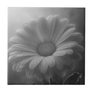 Zwart-wit Daisy Tegeltje