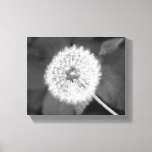 Zwart-wit Dandelion vooraan bladeren 8x10 Canvas Afdruk
