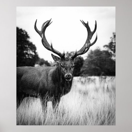 Zwart wit deer Cabin Decor Forest Woodland Poster (Voorkant)