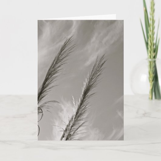 ZWART-WIT DIE RIET IN DE WIND WORDT GEBLAZEN KAART (Voorkant)