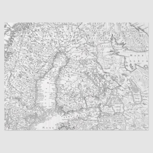 Zwart-wit Digitale Kaart Reeks Ontwerp 12 Tissuepapier (Voorkant)