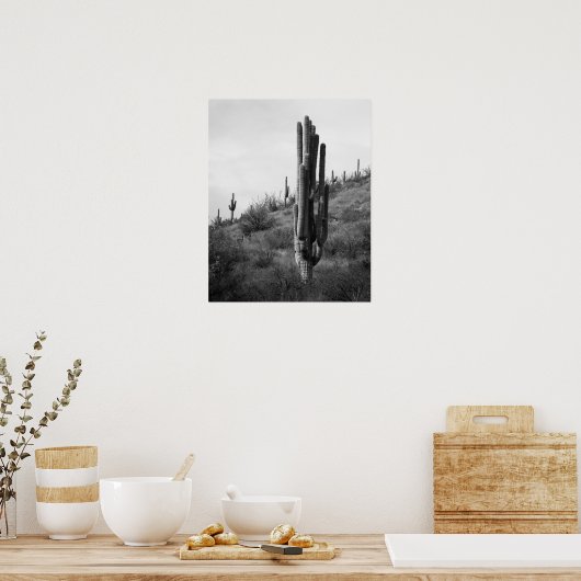 Zwart & Wit Dikke Saguaro Cactus 16x20 Poster (Keuken)