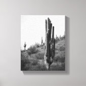 Zwart & Wit Dikke Saguaro Cactus 8x10 Canvas Afdruk (Voorkant)