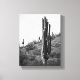 Zwart & Wit Dikke Saguaro Cactus 8x10 Canvas Afdruk