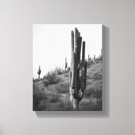 Zwart & Wit Dikke Saguaro Cactus 8x10 Canvas Afdruk (Voorkant)