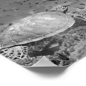 Zwart Wit Dolfijn Zee Schildpad Vis Printable Art Poster (Hoek)