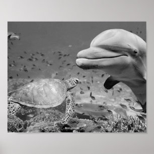Zwart Wit Dolfijn Zee Schildpad Vis Printable Art Poster