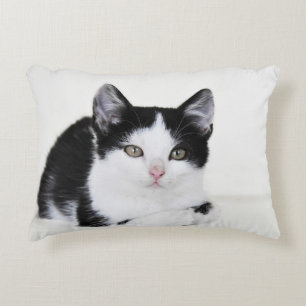 Zwart Wit Doordacht Kitten Accent Kussen