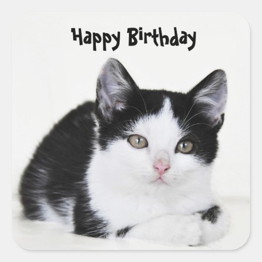 Zwart Wit Doordachte Kitten Sticker (Voorkant)