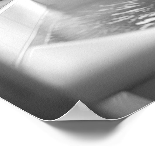 Zwart-wit Douchen Highland Koe Badkamer Poster (Hoek)