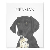 Zwart-wit Duits Kortharige Pointer Art Foto Afdruk (Voorkant)