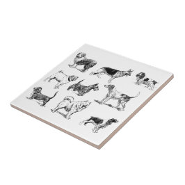 Zwart-wit  duogpatroon tegeltje