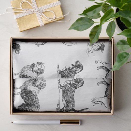 Zwart-wit duogpatroon tissuepapier (Geschenk)