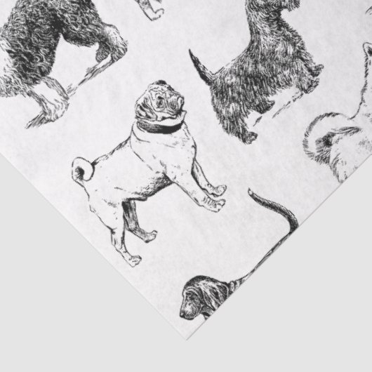 Zwart-wit duogpatroon tissuepapier (Detail)