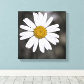 Zwart-wit, eennat, geel centrum canvas afdruk (Insitu (Houten vloer))